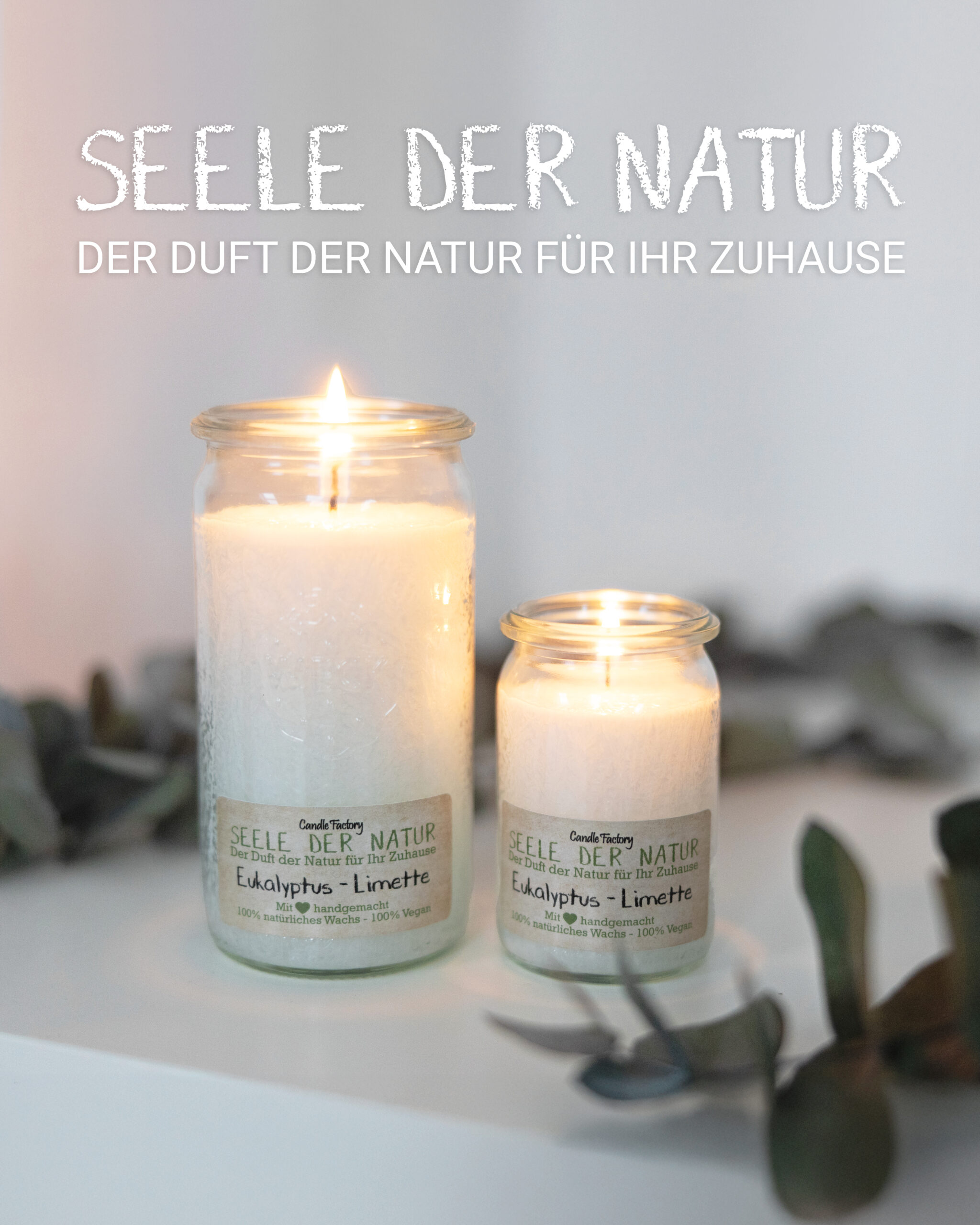 box-seele-der-natur-1