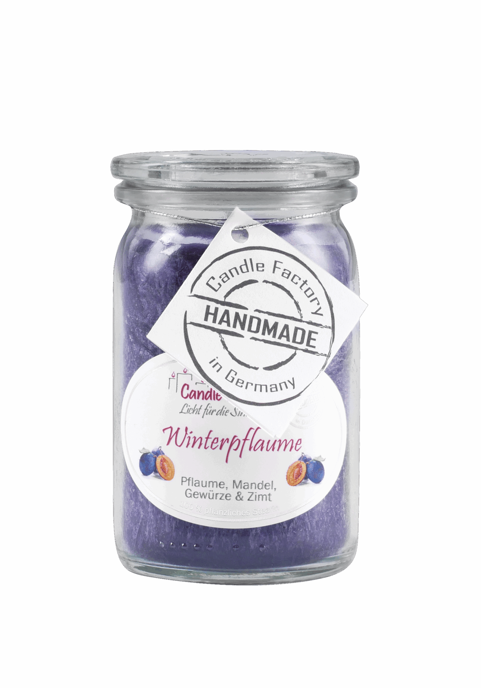 Winterpflaume | 308-066