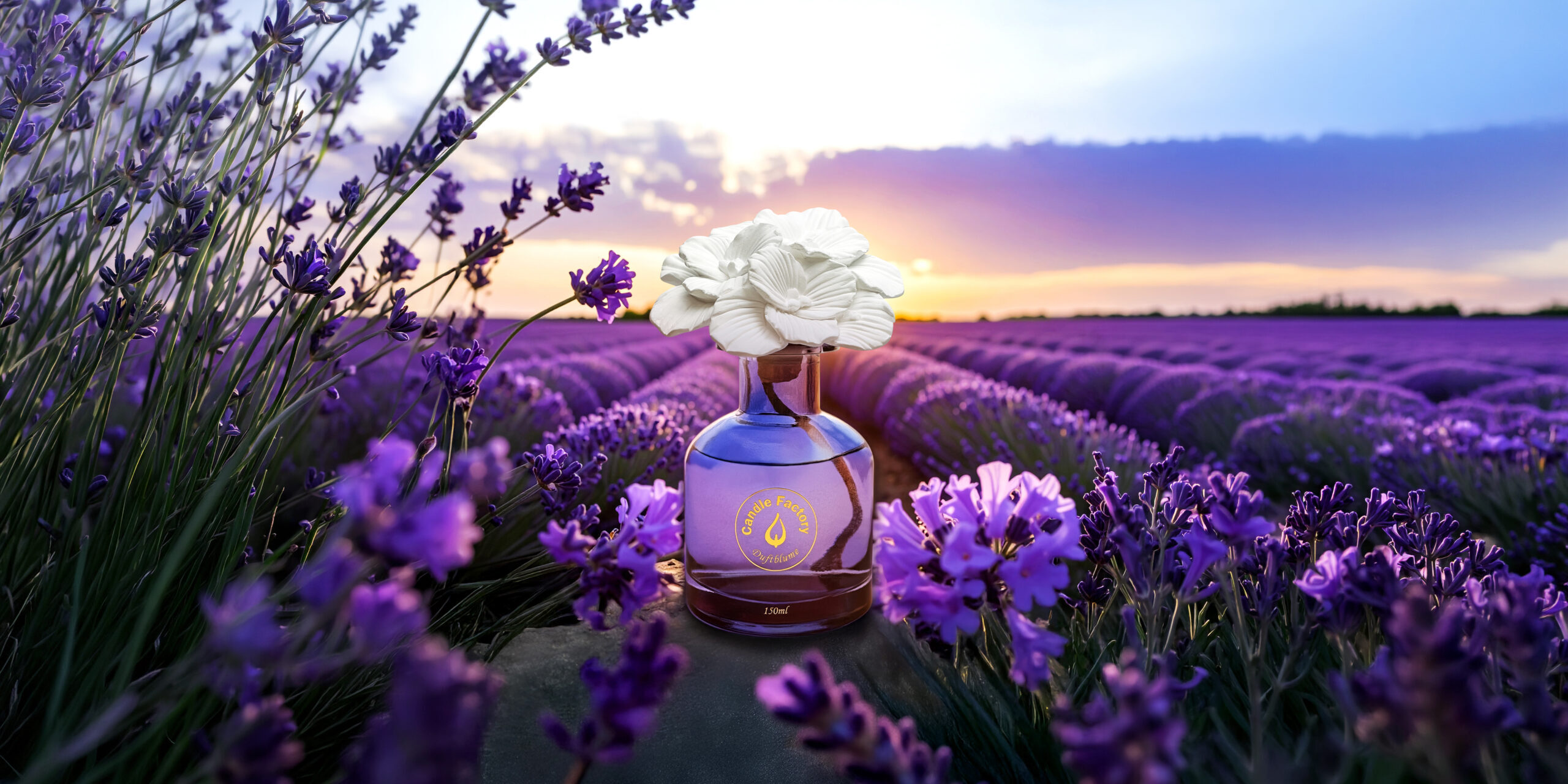 duftblume-feld-lavendel